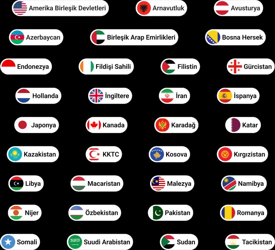 HIMSS + Eurasia HealthTech 2026 Ziyaretçi Ülkeleri